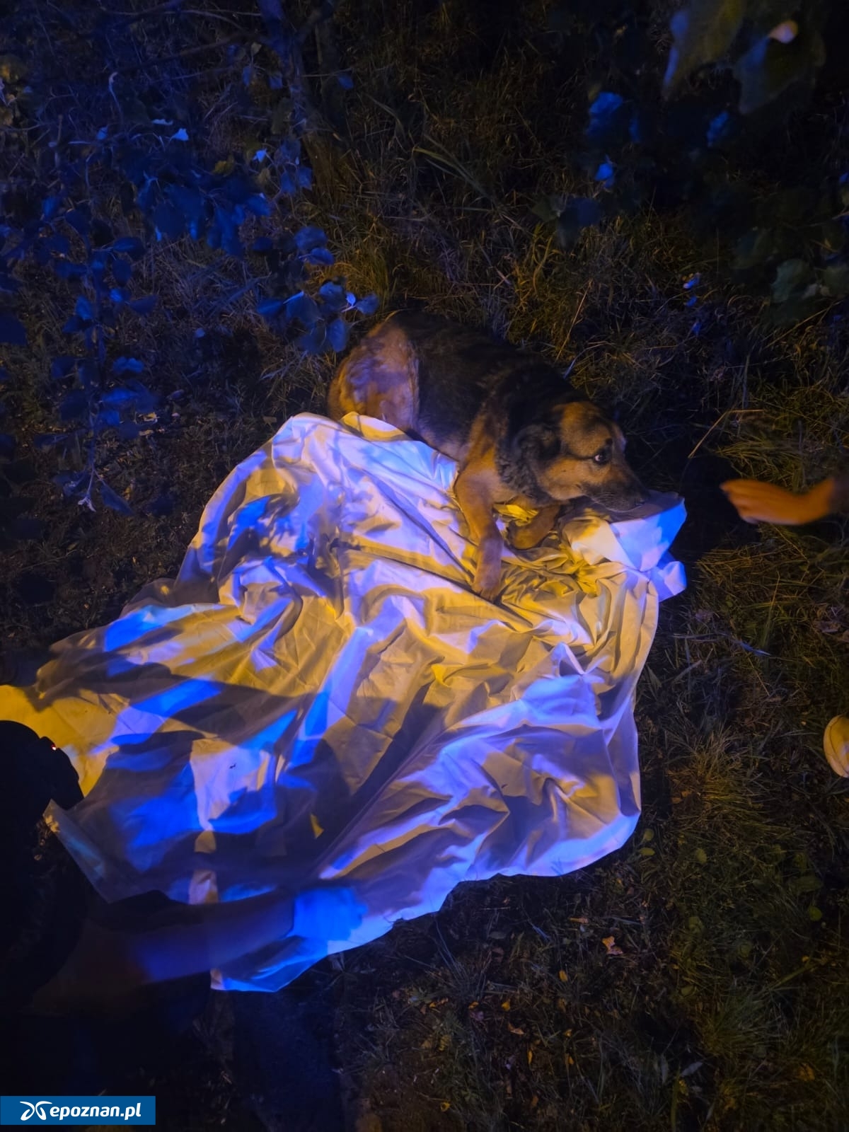 fot. Policjanci z Komisariatu Policji Poznań - Jeżyce
