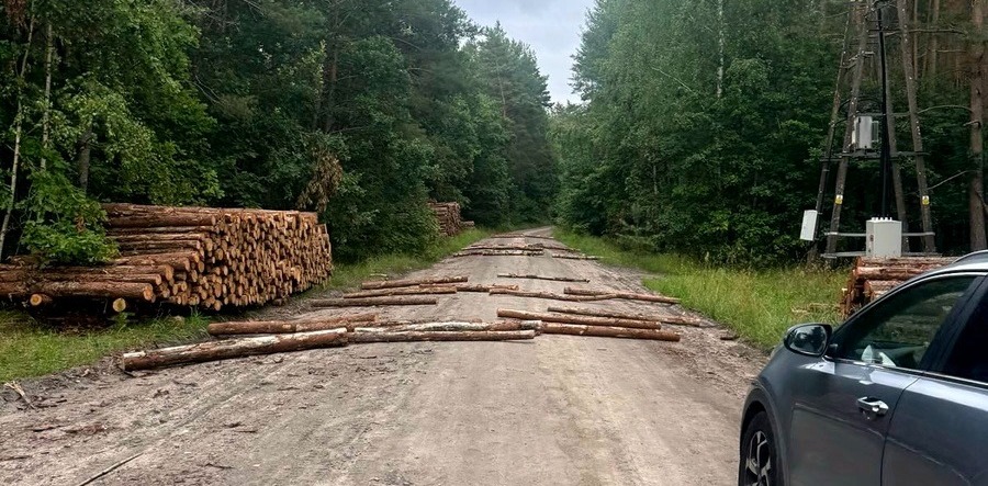 Policjanci udaremnili ustawkę pseudokibiców w dniu meczu Lechia – Lech. Na leśnej drodze układano kłody, by spowolnić mundurowych