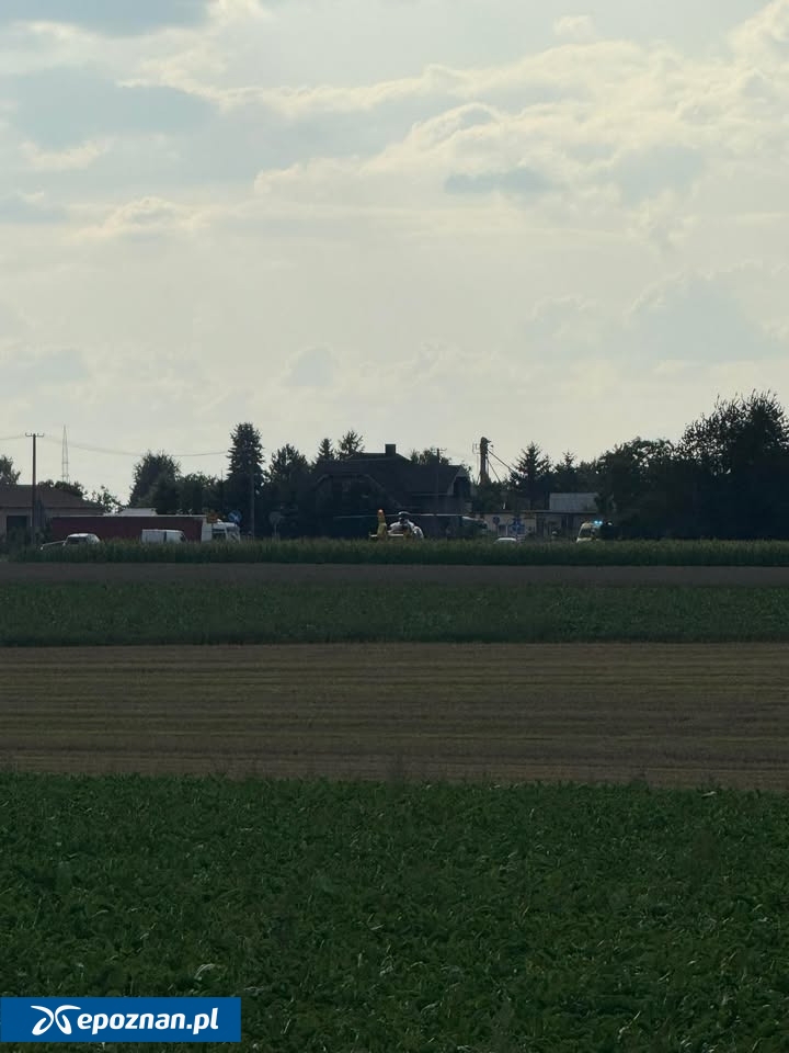 fot. Czytelniczka