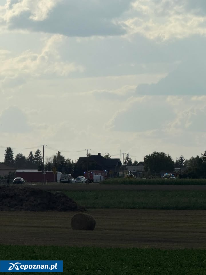 fot. Czytelniczka