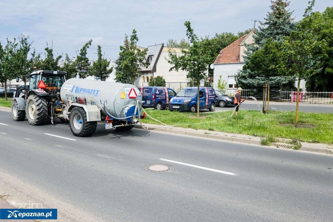 fot. Bartosz Jankowski / ZDM
