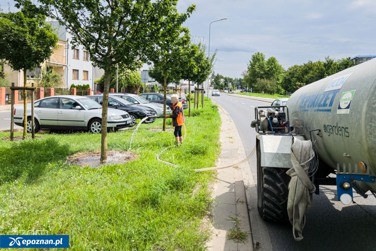 fot. Bartosz Jankowski / ZDM