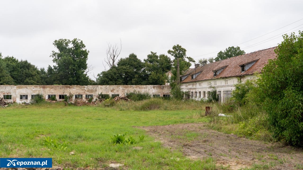 fot. Miłosz Balcerzak / WFOŚiGW w Poznaniu