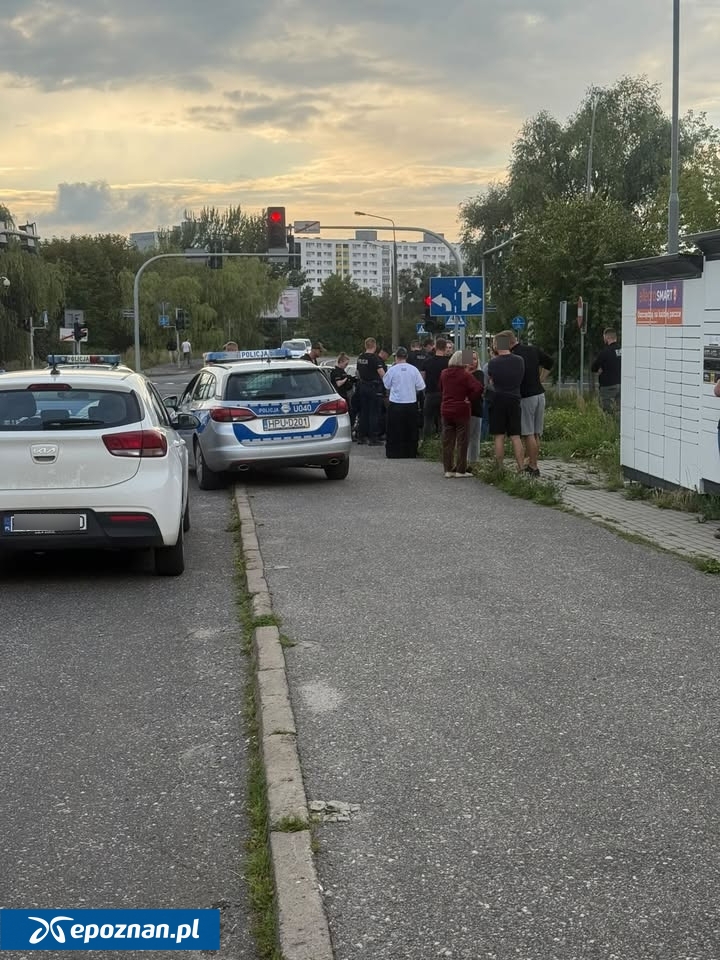 fot. Czytelniczka