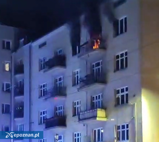 fot. Czytelniczka