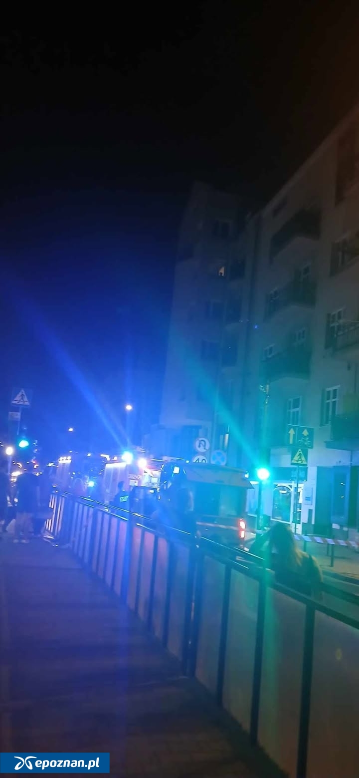 fot. Czytelniczka