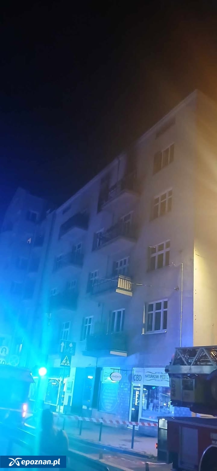 fot. Czytelniczka