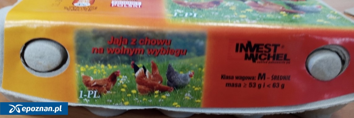 fot. GIS