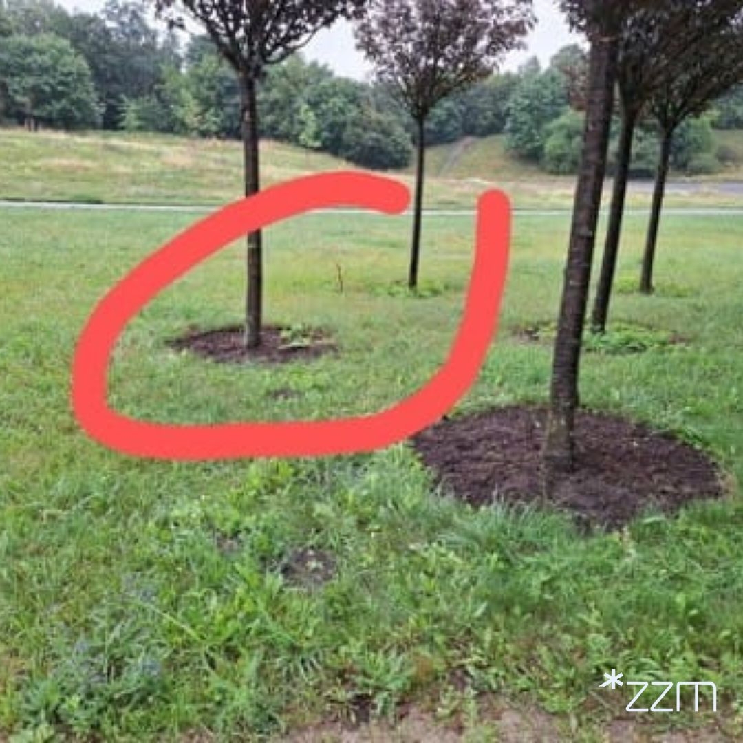 fot. ZZM Poznań