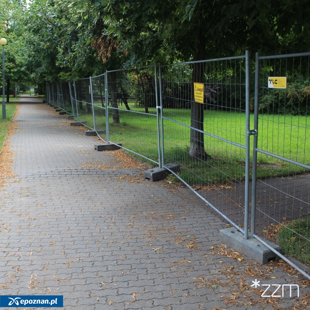 fot. ZZM Poznań