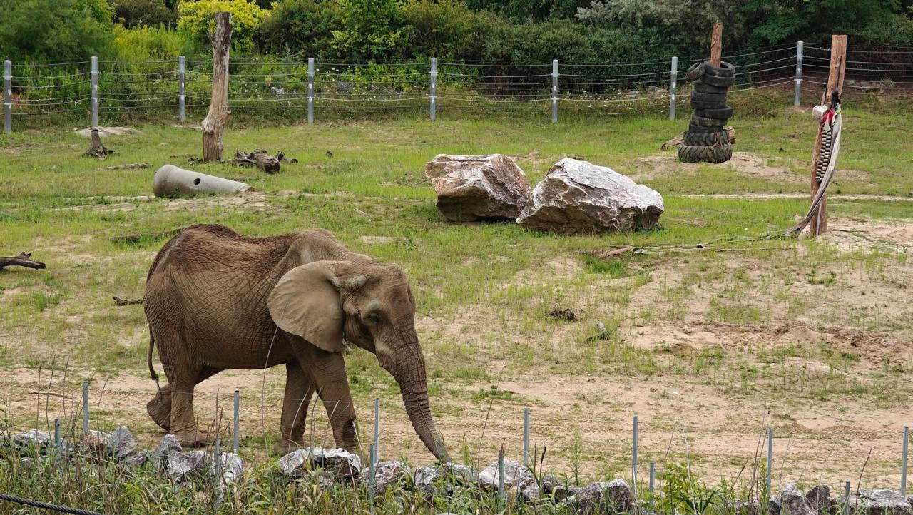 Wyjątkowa okazja tylko dla osób pełnoletnich, aby poznać od kuchni Nowe ZOO. Są szczegóły