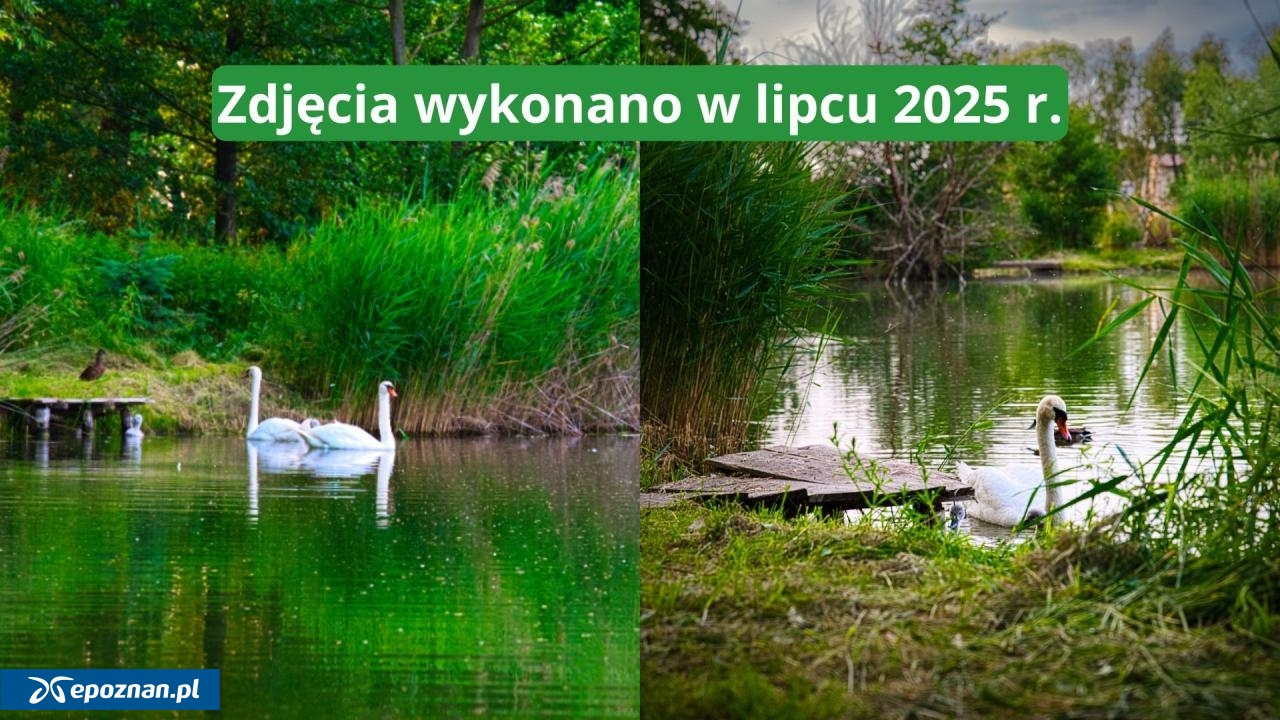 fot. Dzień dobry w Kępnie / FB