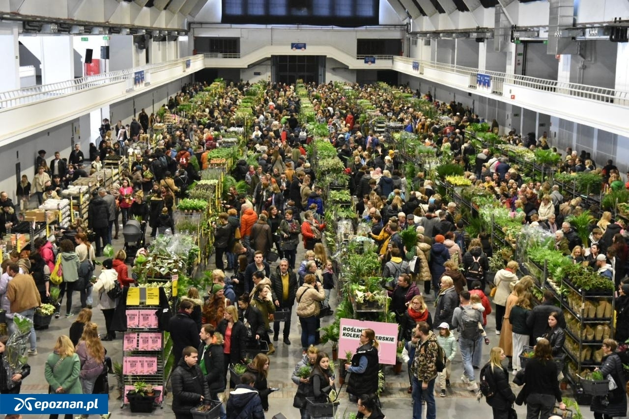 Popularny festiwal, który zawsze przyciąga tłumy wraca na MTP. Wstęp będzie za darmo!