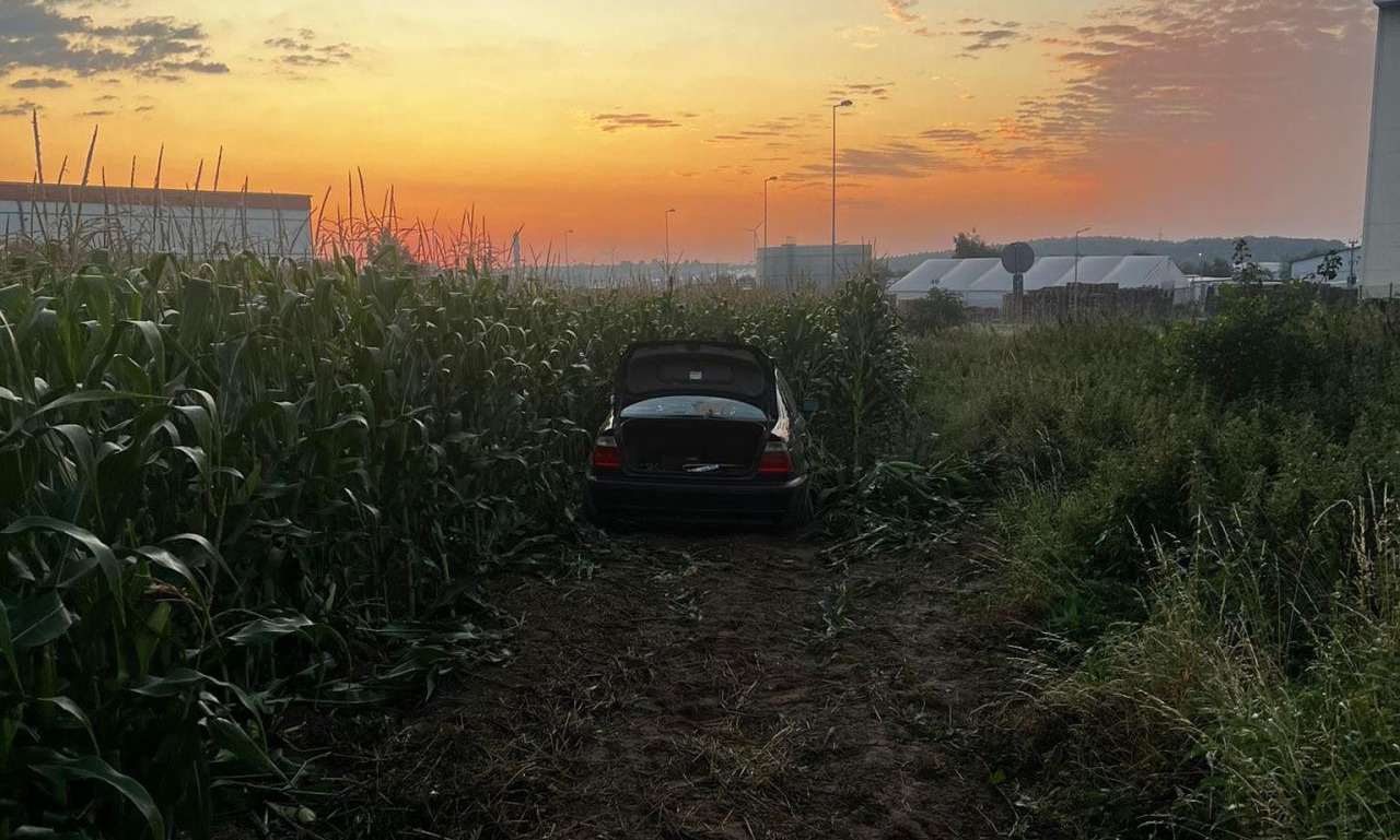 Znaleźli otwarte BMW bez tablic rejestracyjnych w polu kukurydzy w regionie. Kierowcy nie było w pobliżu