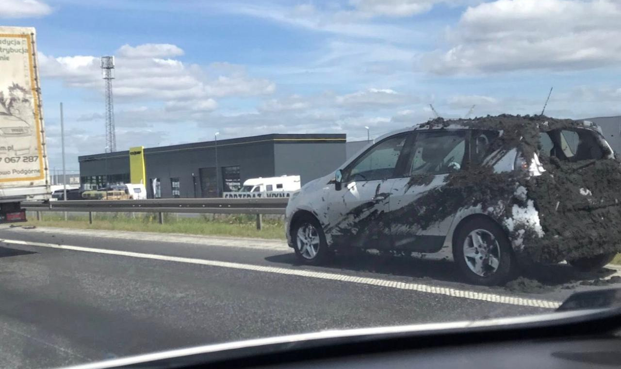 Kolizja na S11 pod Poznaniem. Na jezdnię wylały się nieczystości