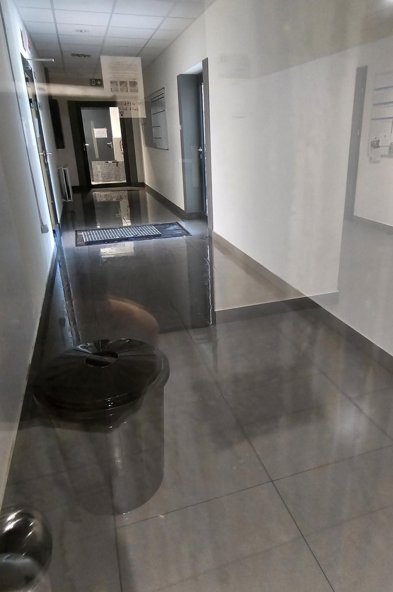 Dezynfekcja w poznańskim schronisku. Trafiło tu zwierzę z bardzo niebezpieczną chorobą