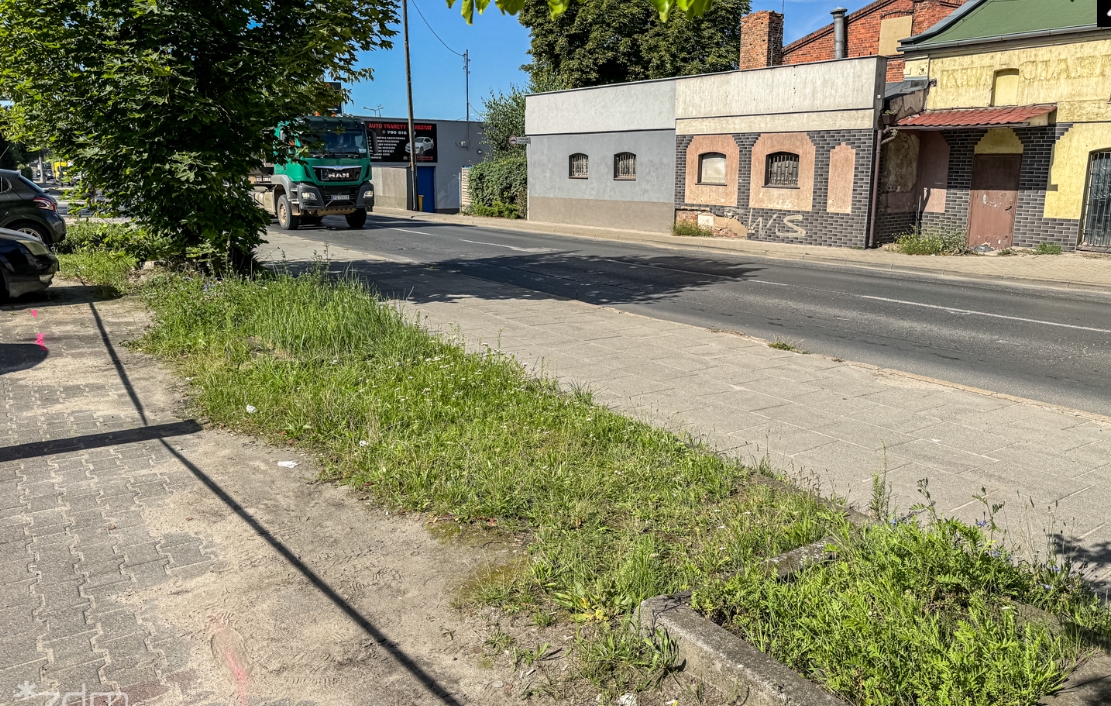 Na Starołęce pojawi się więcej zieleni. Zdemontują kostkę brukową i posadzą nowe drzewa oraz krzewy