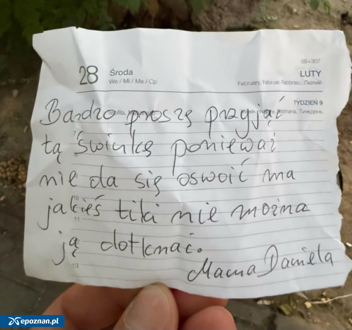 fot. Sandra T.
