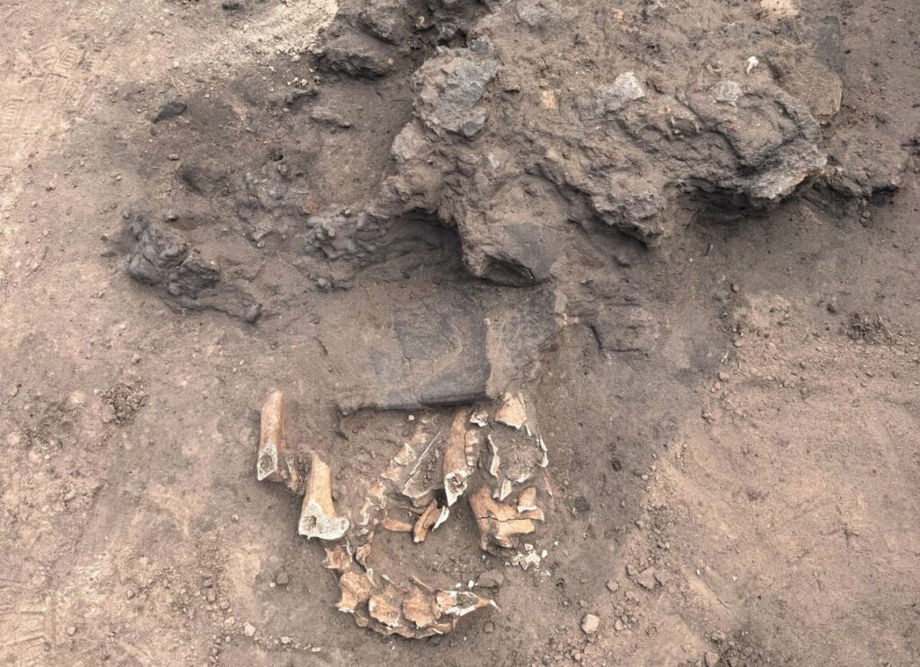 Niezwykłe odkrycie w naszym regionie. "To ofiara rytualna"