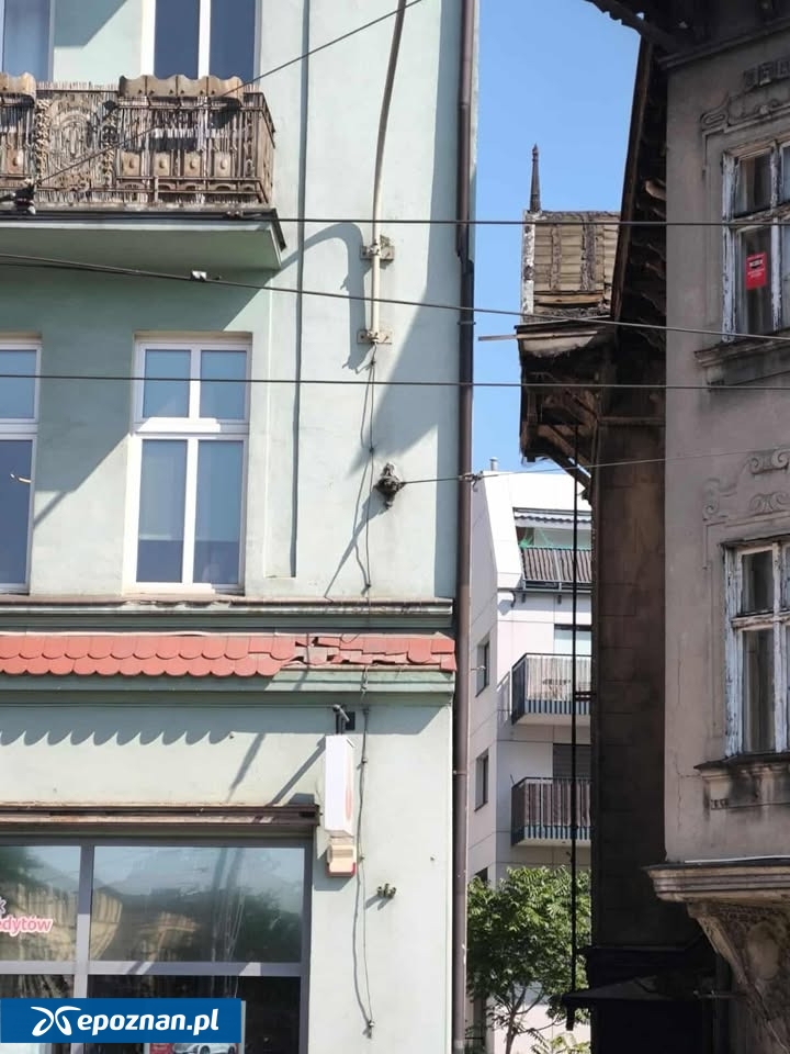 fot. Czytelnik