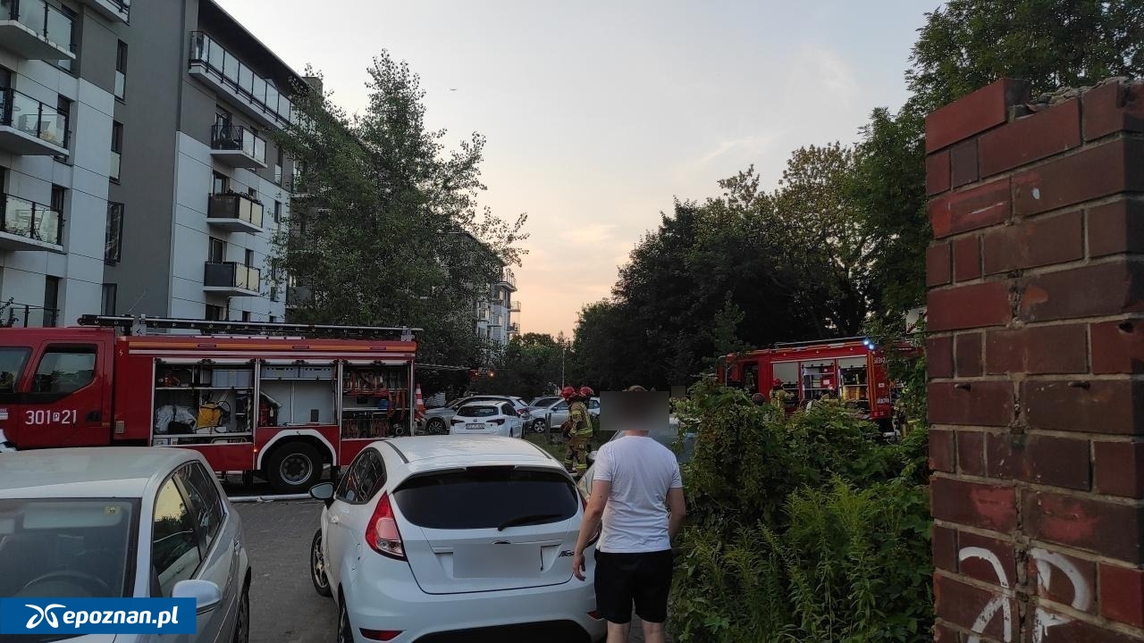 fot. Paweł Głuszyński/WTK