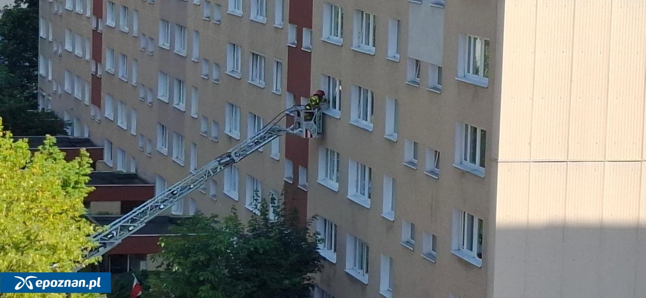 fot. Czytelnik