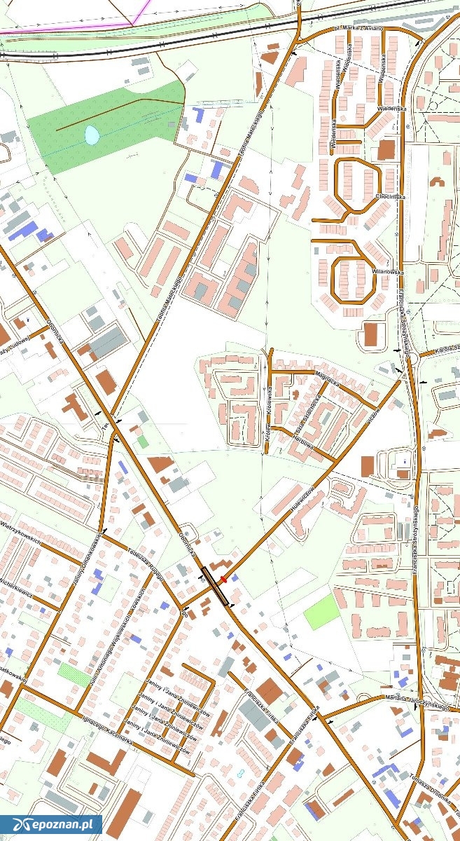 fot. UM Poznań