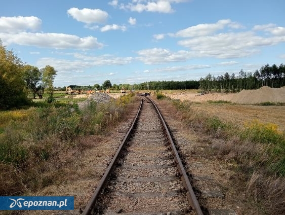 fot. Wojtek