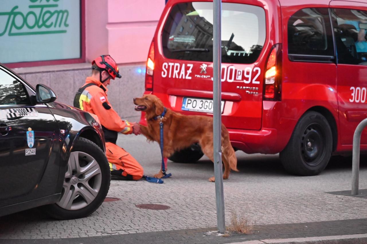 Działyńskich: runął fragment kamienicy. Psy tropiące szukały ludzi w budynku