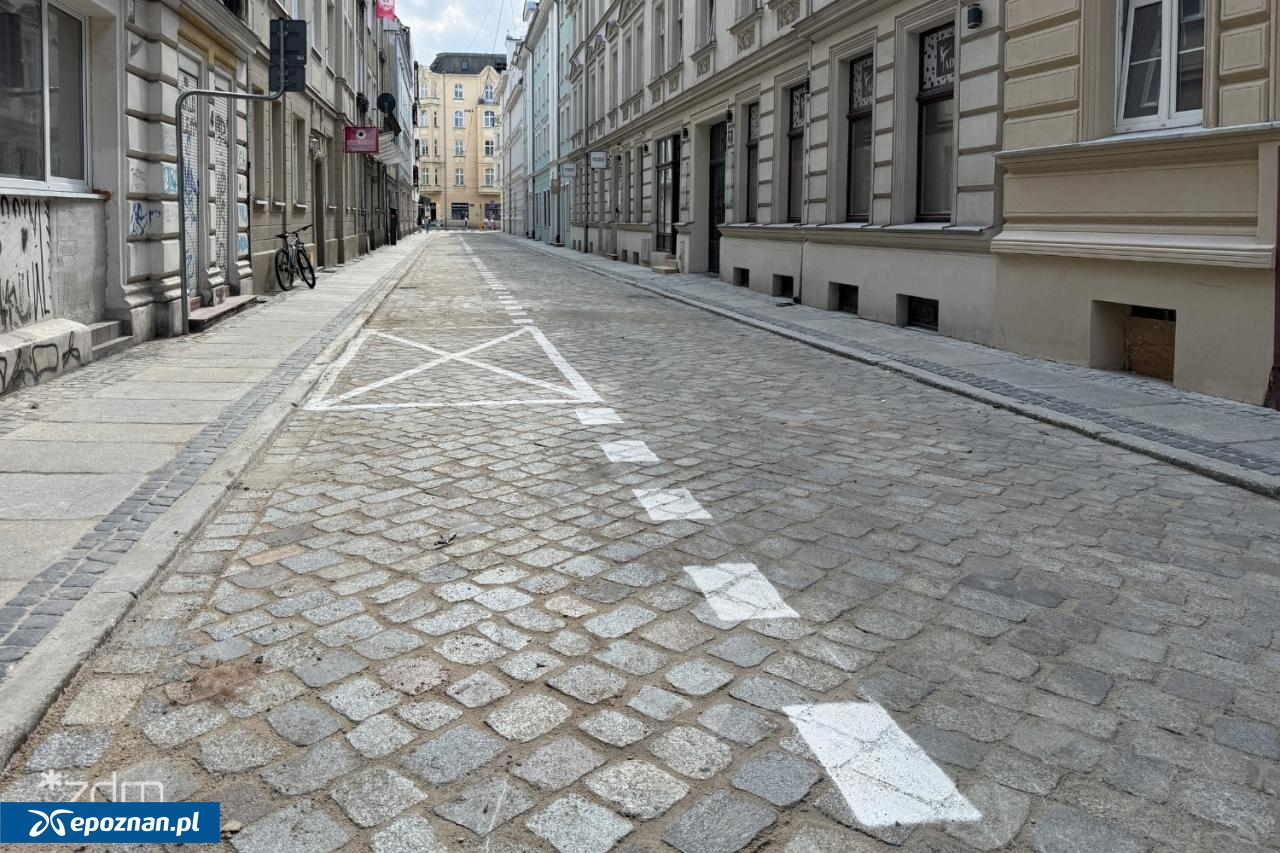 fot. Bartosz Szczepaniak / ZDM