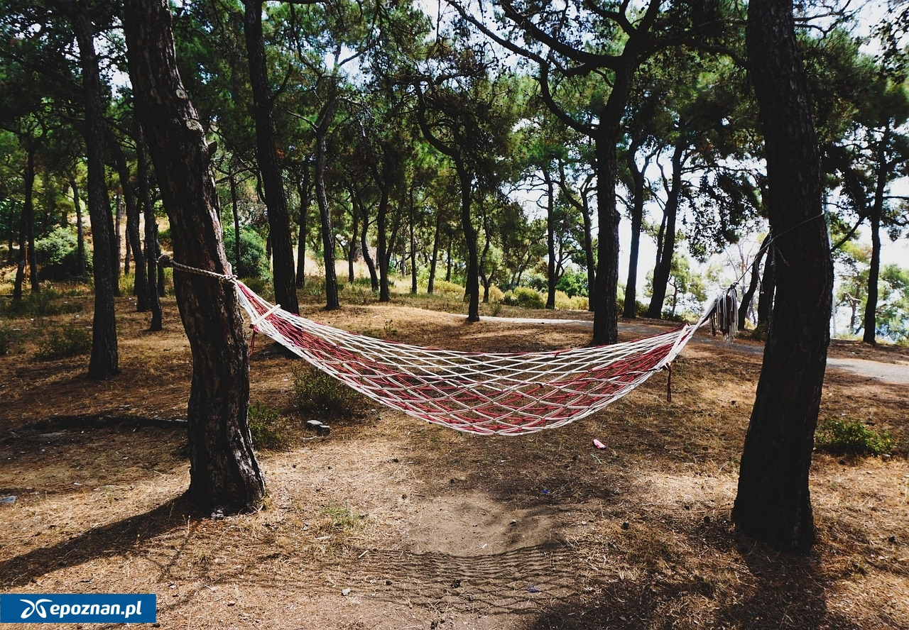 Duże kontrole Sanepidu. Ujawniono jeden "dziki turnus"