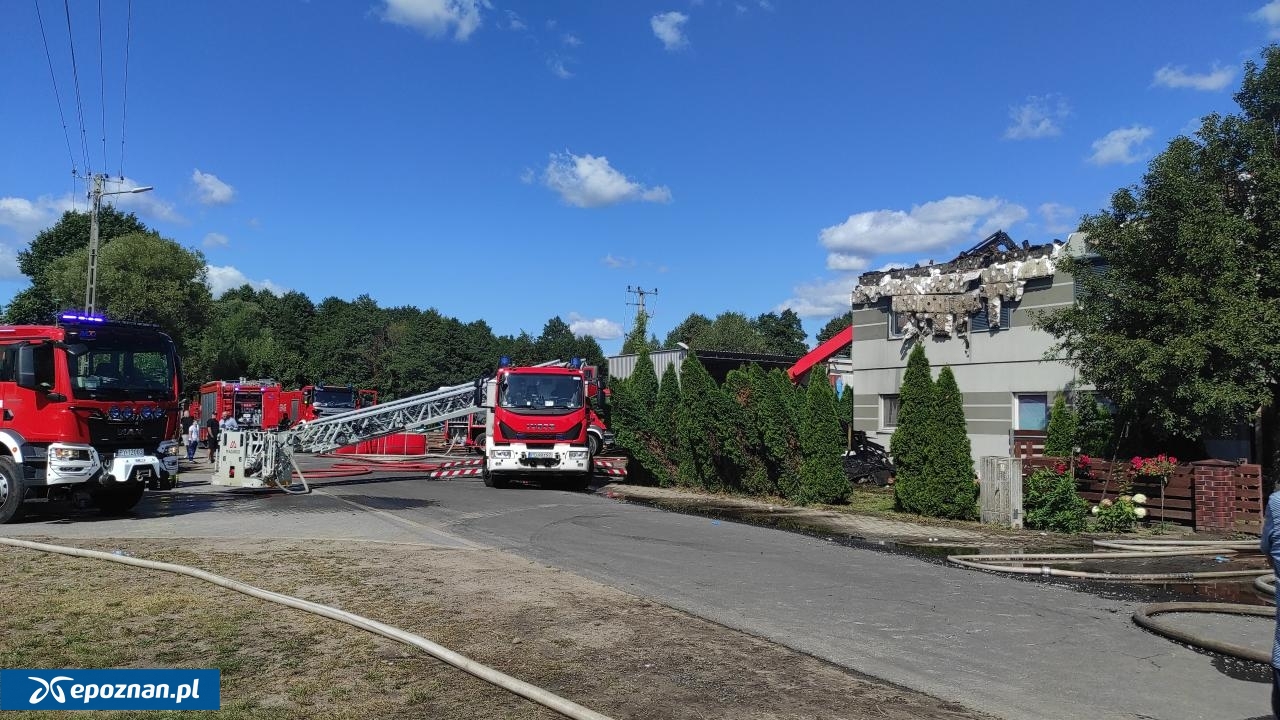 fot. Paweł Głuszyński / WTK