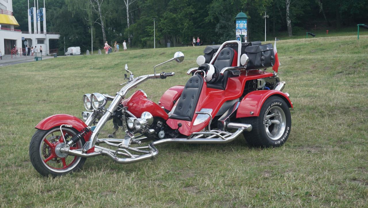 Ogniste rydwany zaprezentują się dziś w Poznaniu. To największe takie wydarzenie w kraju