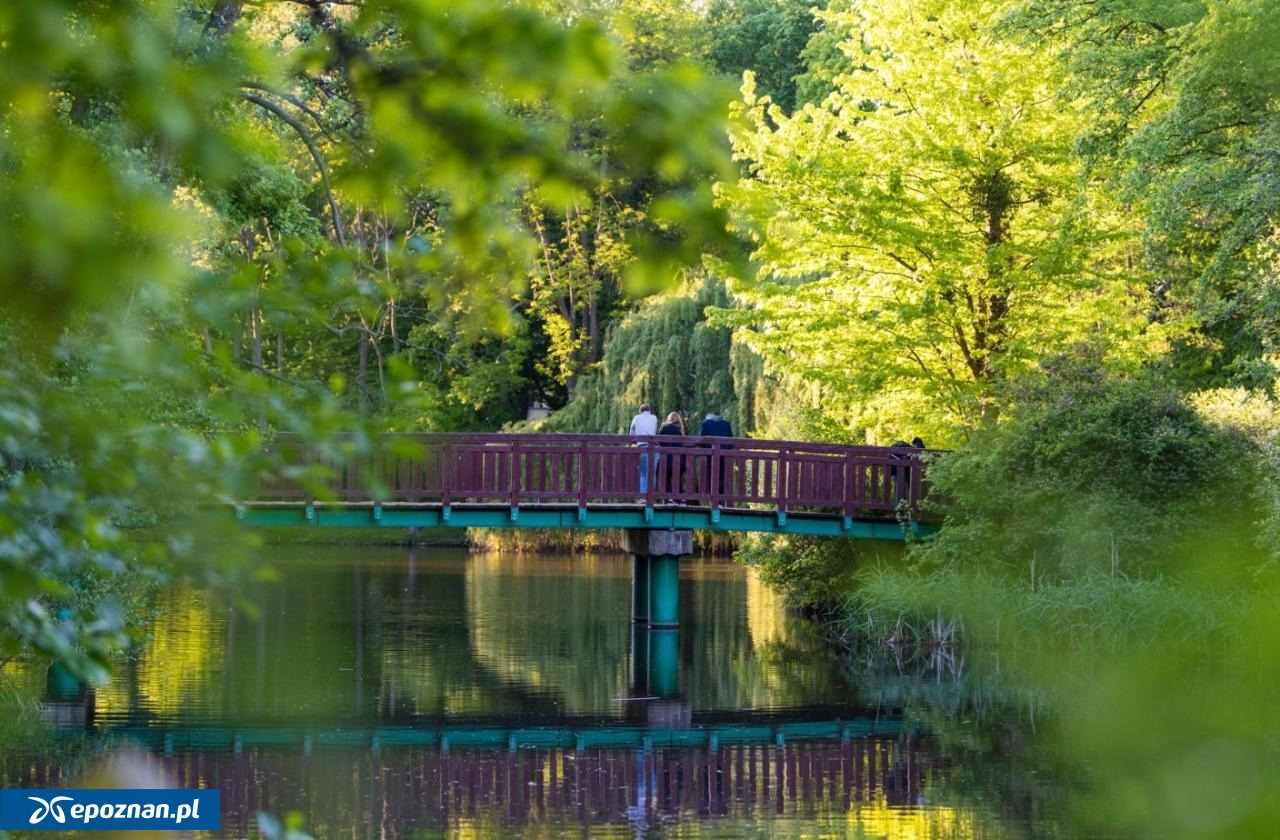 W poznańskim parku przeniesiemy się dziś do przeszłości