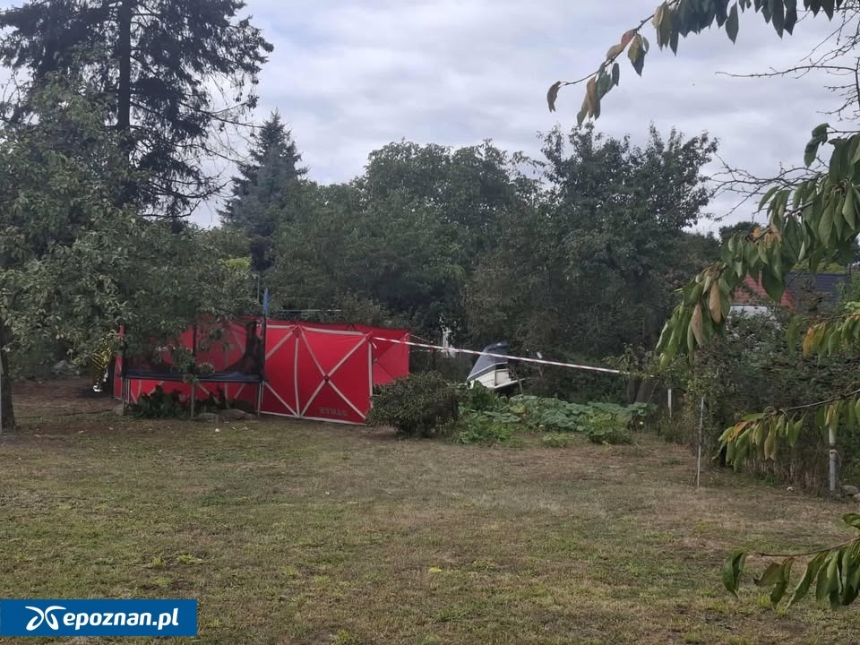 Są pierwsze ustalenia po tragicznym wypadku awionetki. "Pasażer korzystał z vouchera na przelot samolotem"