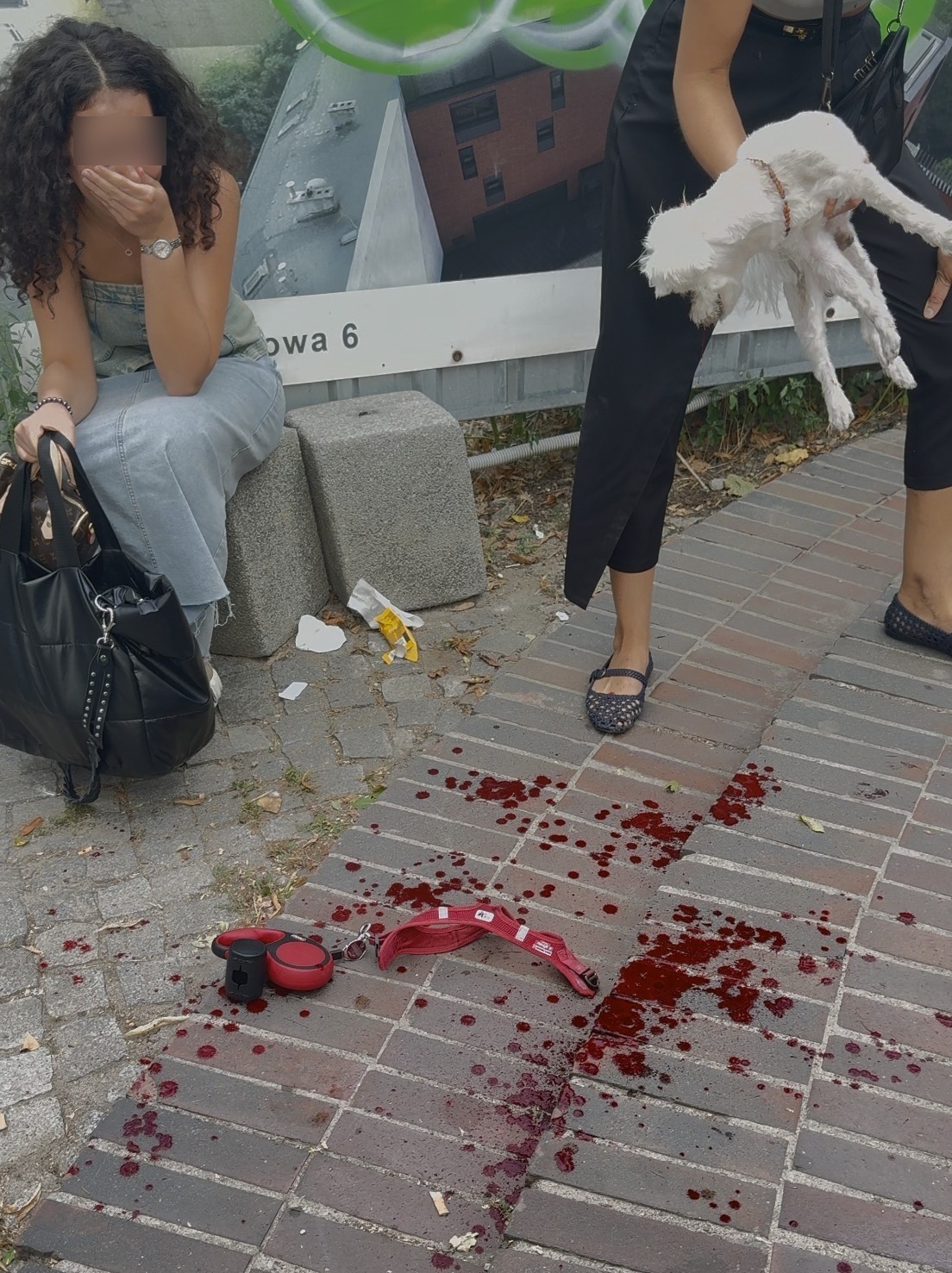 Amstaff zagryzł maltańczyka w centrum Poznania. "Nasz ból jest nie do zniesienia. Obraz, którego nigdy nie zapomnimy"