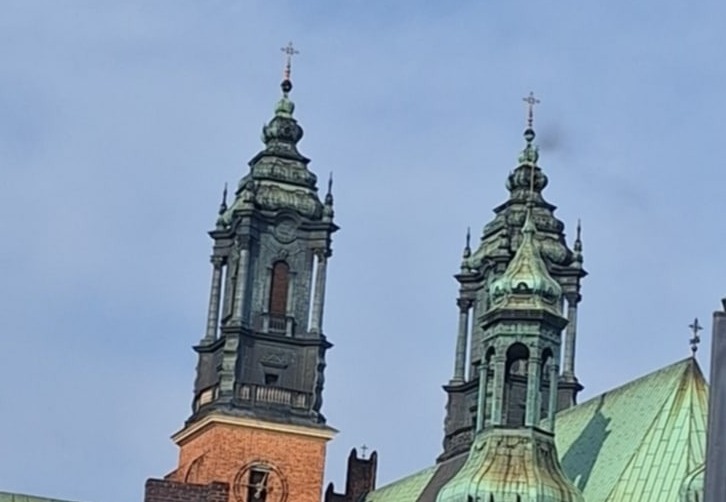 Strażacy przy katedrze poznańskiej, wszystkich wyproszono z kościoła. Zaskakujące wyjaśnienie