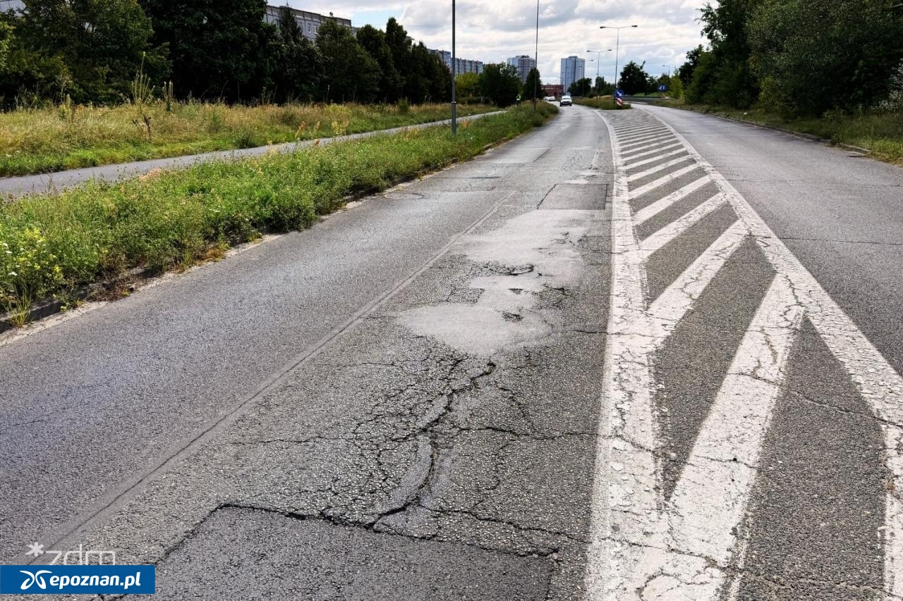 fot. ZDM Poznań