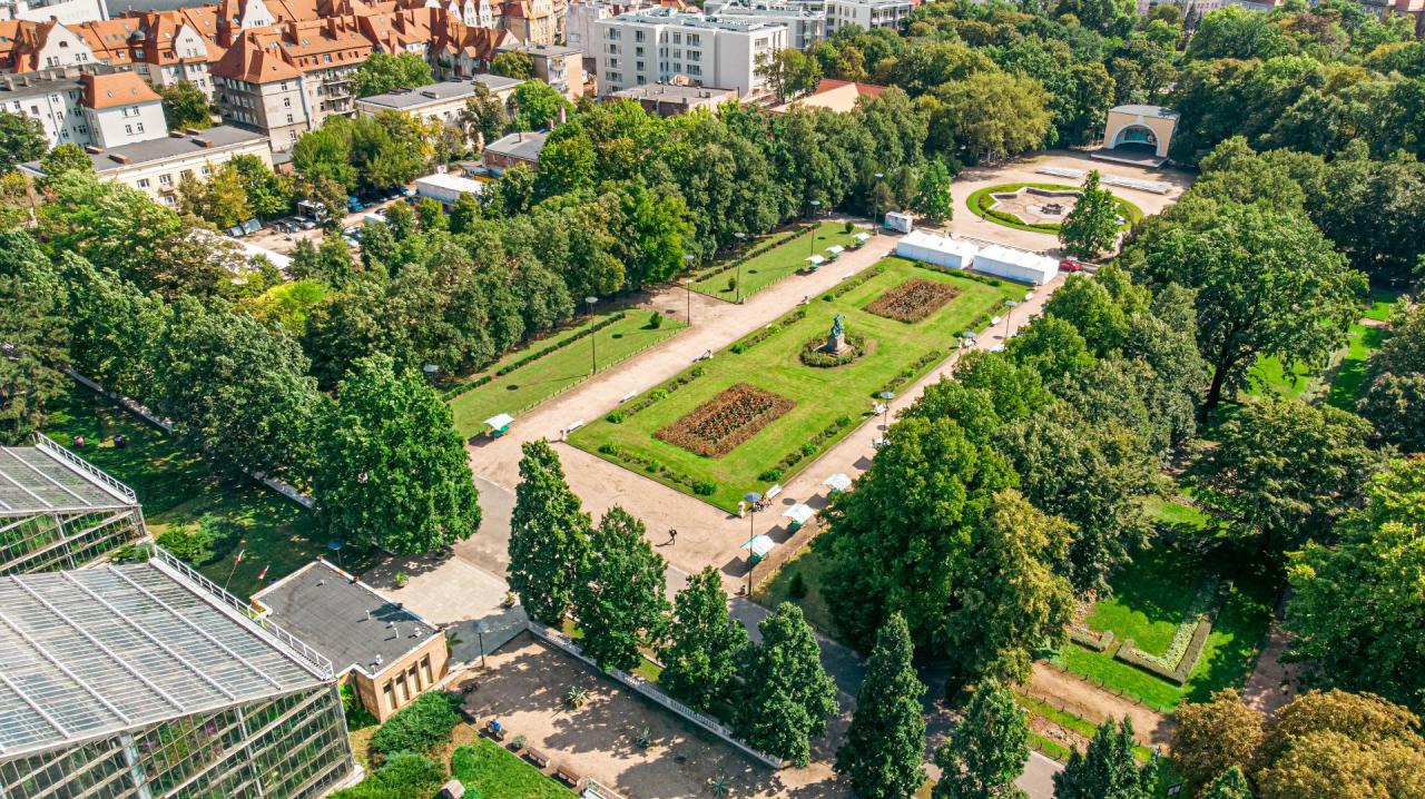 Dziś ostatnie takie wydarzenie w sezonie. Poznański park zatętni życiem