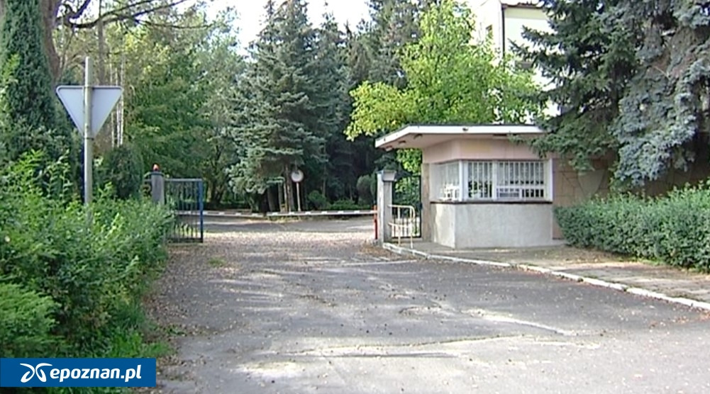 "Prawdziwa perełka" znajduje się w poznańskim budynku przeznaczonym do rozbiórki. Mieszkańcy bronią historycznej mozaiki