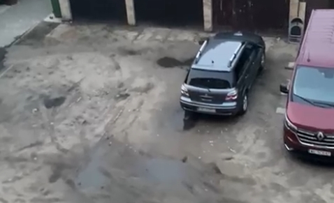 Plaga szczurów na Jeżycach. Widoczne choćby z okna bloku. Z góry widać jak biegają i pływają w kałuży. "Mieszkańcy boją się wychodzić z domu"