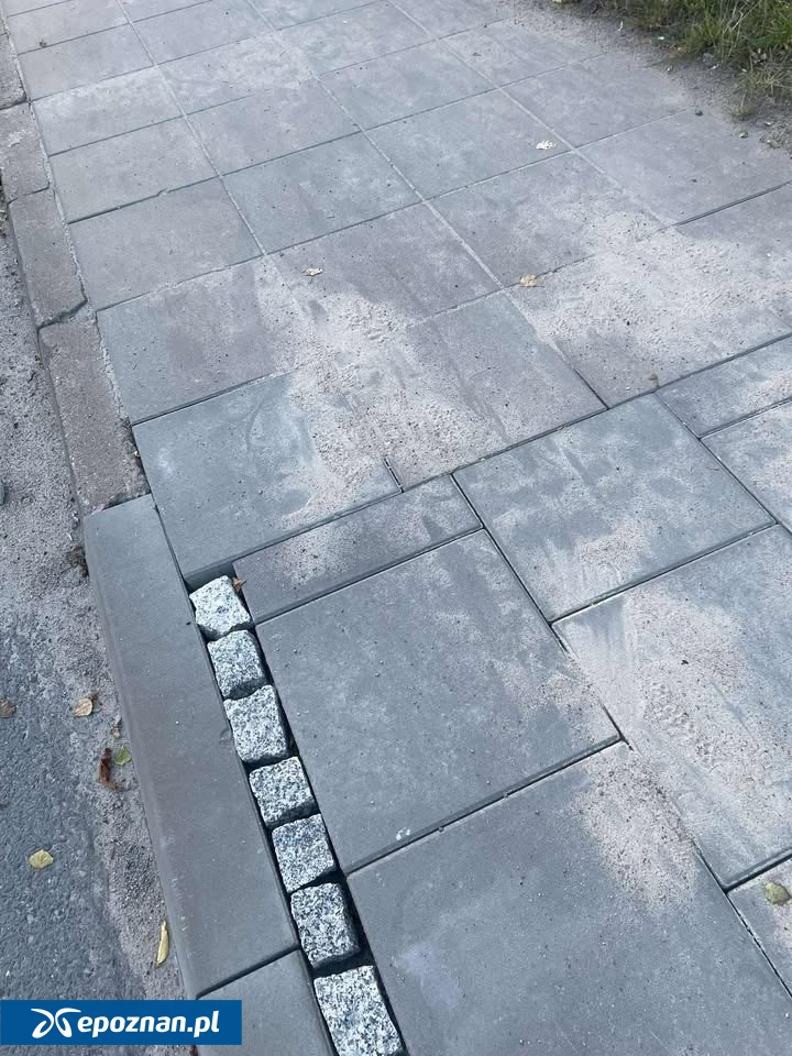 fot. Czytelnik