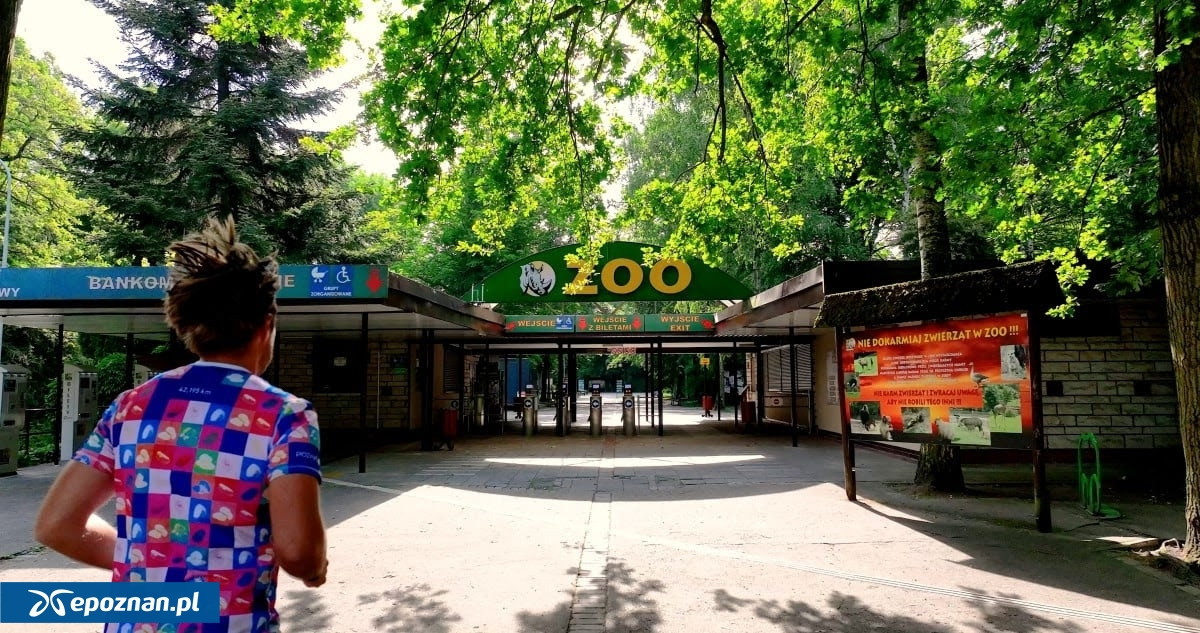 Uczestnicy poznańskiego biegu dostaną medale z wizerunkiem byłego prezydenta