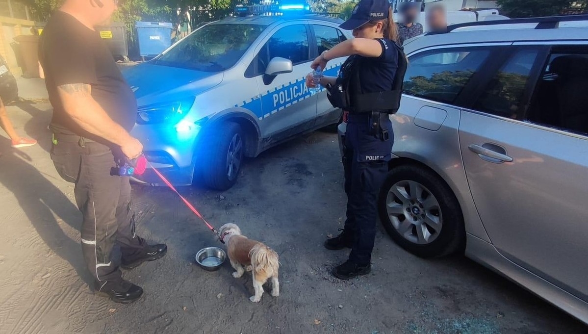 fot. Policja