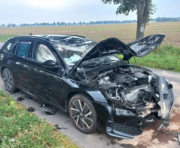 fot. Komenda Powiatowa Policji w Kościanie/Facebook.