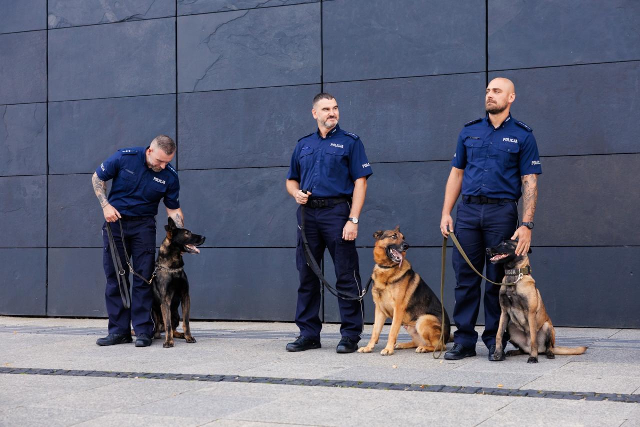 Nagrodzono policyjne psy i ich przewodników. Wręczono statuetki. "Policja coraz lepiej wykorzystuje umiejętności psów"