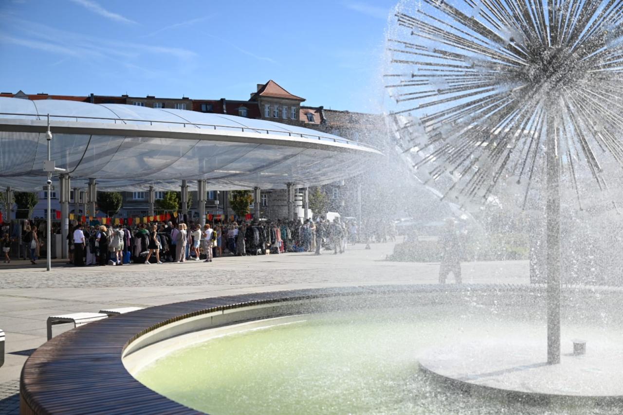 Dzieje się na jednym z poznańskich rynków. To ostatnia taka impreza w tym roku (zdjęcia)
