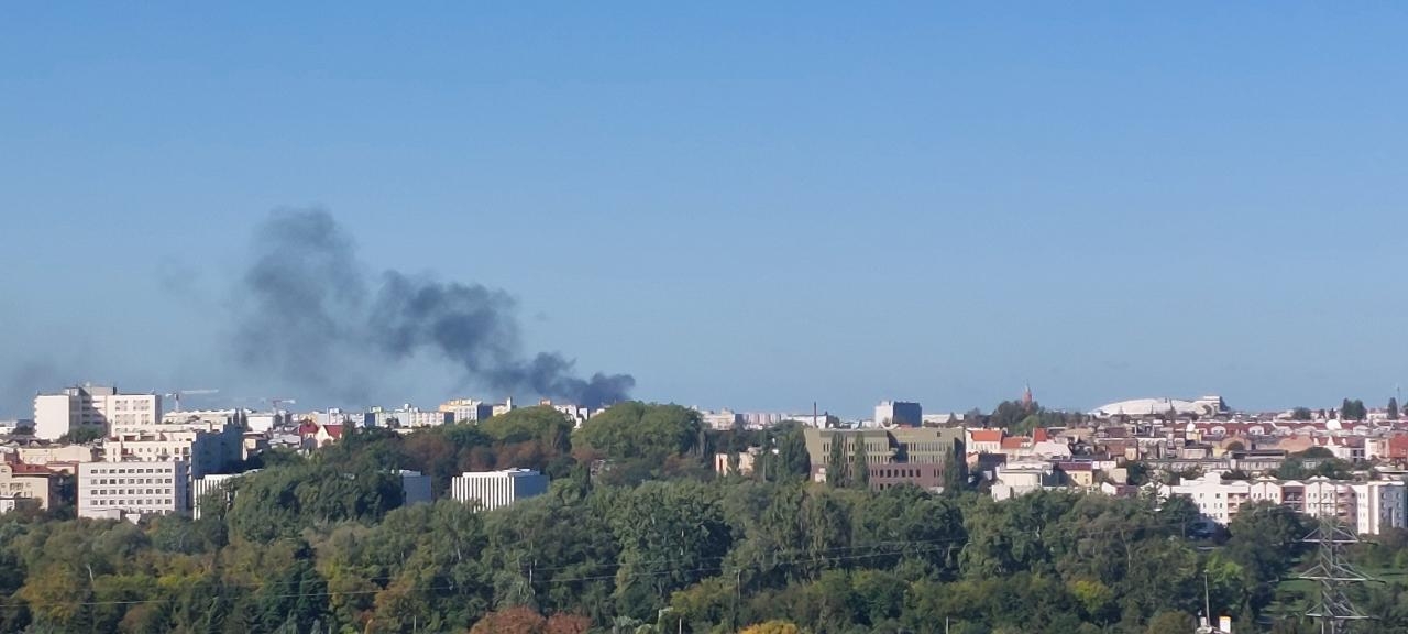 fot. Czytelniczka