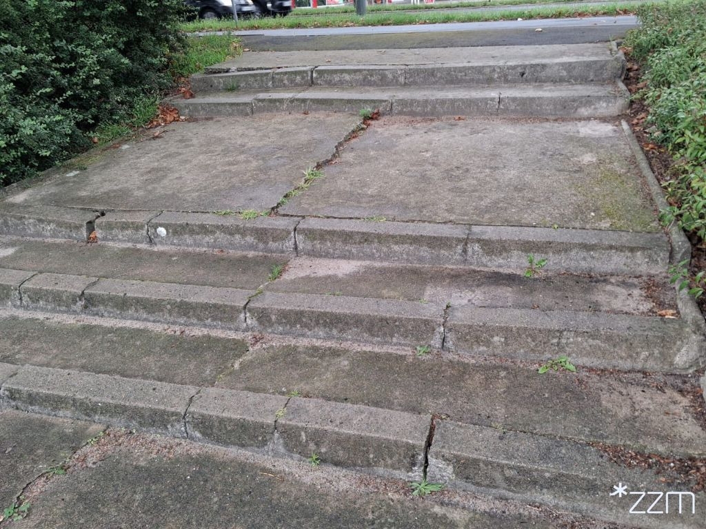 fot. ZZM Poznań