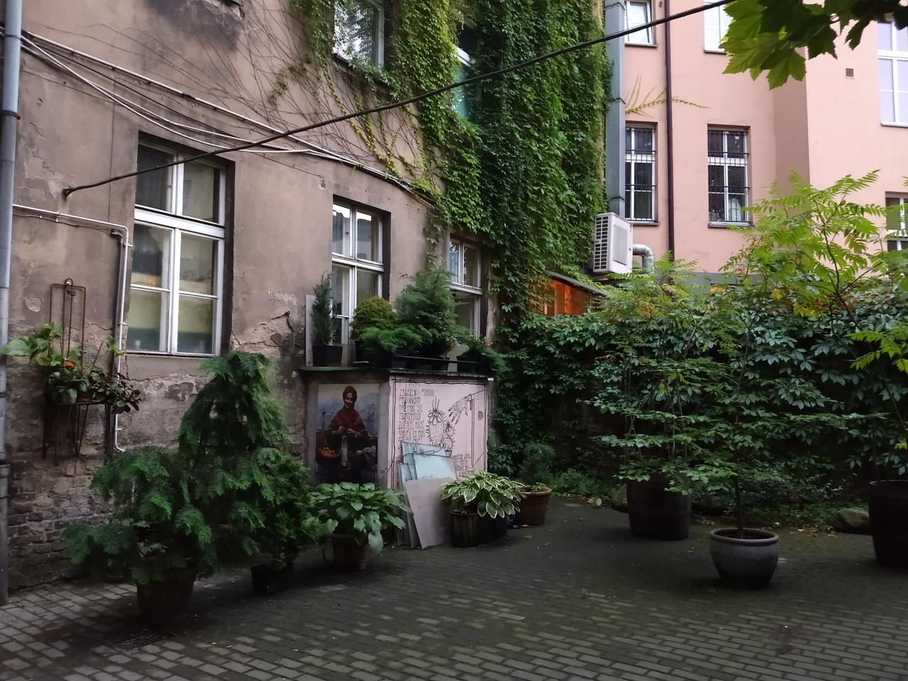 fot. Materiały prasowe